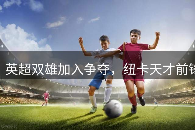英超双雄加入争夺，纽卡天才前锋沃尔特马德引豪门竞逐